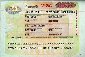 Canada Education Visa - Jelitaf