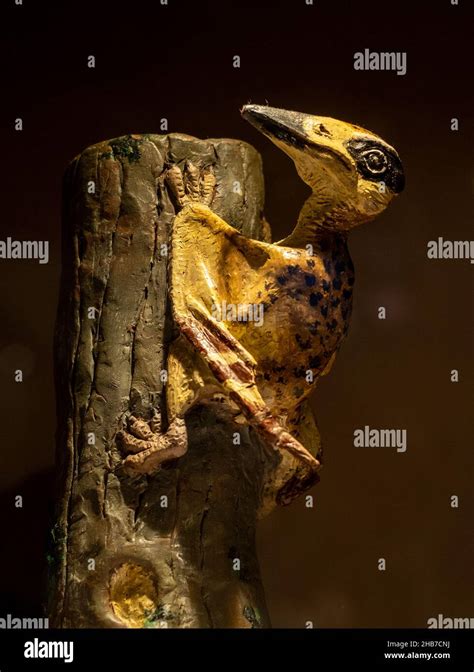 Restoration sculpture of Nemicolopterus crypticus (hidden flying forest dweller Stock Photo - Alamy