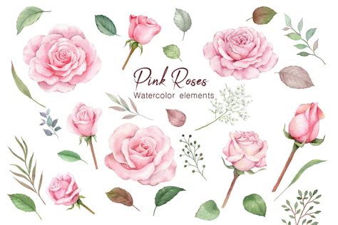 Watercolor Dusty Rose Flowers Clipart Graphic by Fineartlab · Creative Fabrica