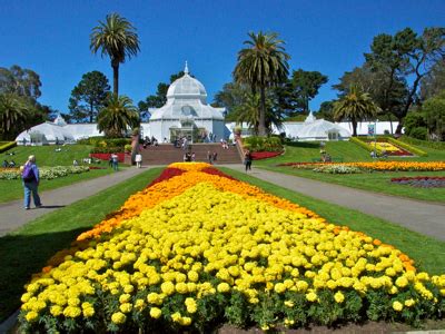 Conservatory of Flowers, Golden Gate Park, CA | A Traveling Gardener