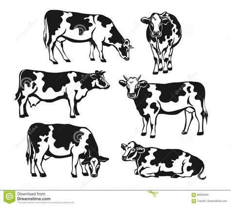 Photo about Holstein cattle silhouette set. Cows front side view ...