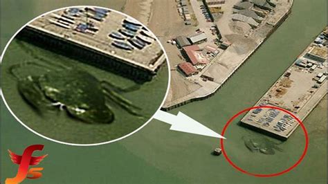 Top 5 Creepy Things Found In Google Maps | Mystery, Mysteries of the world, Giant crab