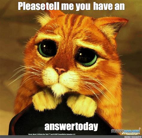 Meme: "Please tell me you have an answer today" - All Templates - Meme ...