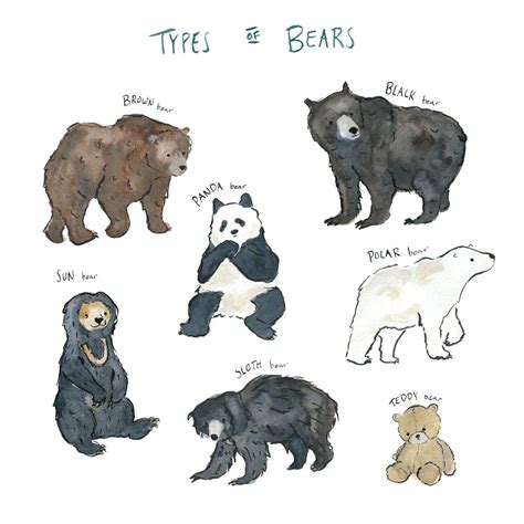 The Little French Bullblog | Bear art, Cute animal drawings, Animal drawings