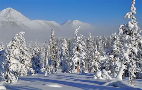 Yakutia Tour - Discover the Ultimate Winter Wonderland | Yakutsk, Russia travel, Russia tours