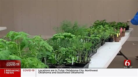 Tulsa Garden Center Launches Spring Fest To-Go