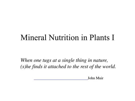 PPT - Mineral Nutrition in Plants I PowerPoint Presentation - ID:779174