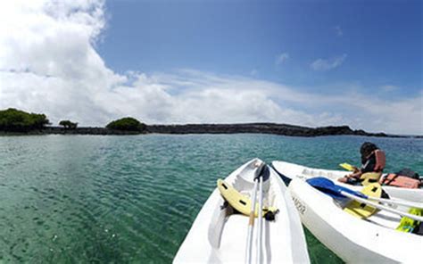 Galapagos Islands: Family Volunteer Vacation – Volunteer Vacations | Discover Corps