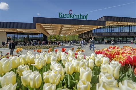 Keukenhof Tulip Gardens (Amsterdam, Holland) - Opening hours, prices