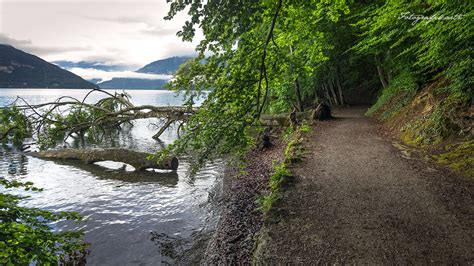 Hiking trail | from Faulensee to Spiez Follow me on Facebook… | Motographer | Flickr