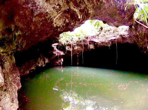 Cozumel Cenotes - Cozumel 4 You