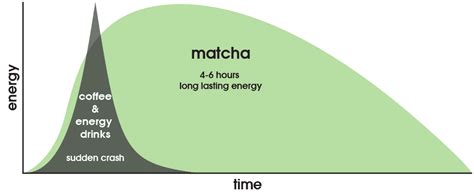 Matcha Helps Weight Loss - Zen Green Tea