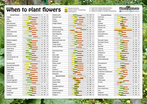 When to plant flowers - When2Plant.com | Blumen pflanzen, Blühende pflanzen, Mehrjährige blumen