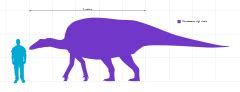 Category:Ouranosaurus - Wikimedia Commons