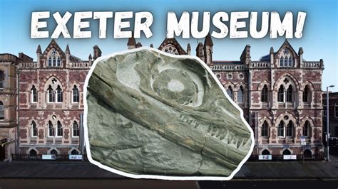 A Tour of Exeter Museum's Natural History Collection! - YouTube