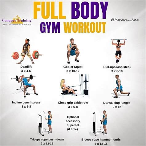 FULL BODY GYM WORKOUT EXERCISES YOUR BODY WORKOUT 🔥🔥🔥 ️ ️ ️ Plz follow and like :@fitness__worko ...