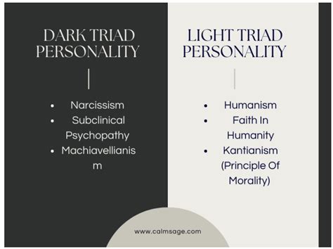 Understanding A Dark Triad Personality Based On Major Red Flags