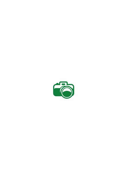 Green Camera Icon Clip Art at Clker.com - vector clip art online, royalty free & public domain