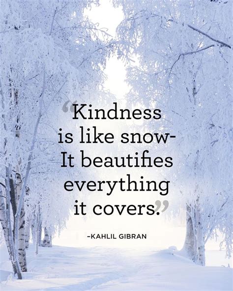 40 Best Winter Quotes to Help You See the Beauty of Every Snowfall | Snow quotes, Kindness ...