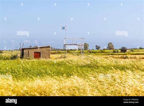 Air cabbage hi-res stock photography and images - Alamy