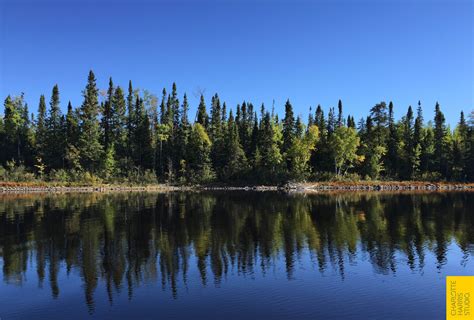 The Canadian Boreal forests and waterways of northern Ontario, photographed from a boat. A ...