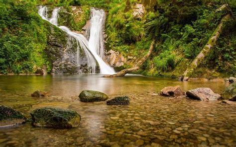 Image result for jangal jharna foto | Wasserfall, Wasserfälle, Allerheiligen