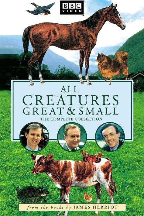 All Creatures Great and Small (TV Series 1978-1990) — The Movie ...