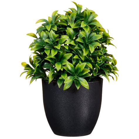 Potted Plant 20cm | Home | Artificial Plants