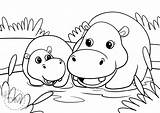 Free Printable Hippo Coloring Pages sketch template