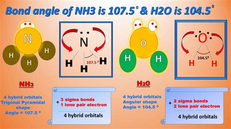 Why are bond angles of h20 and nh3 104.5 and 107.5 | Molecular Shape and Bond Angles | Chemistry ...