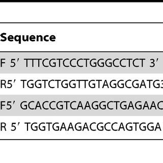 Primers for qRT-PCR. | Download Table