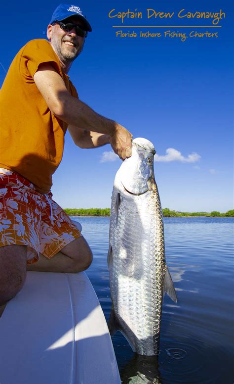 New Smyrna Beach Tarpon Fishing Guide • Ponce Inlet Tarpon Fishing Charters • Cocoa Beach Tarpon ...