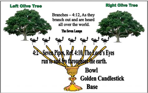 VIIIa.17. Who Are the Two Olive Trees of Zechariah Four? | Bible Questions and Answers – A ...