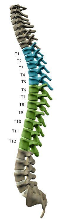 T11 with two fractures and 3 herniated discs, one pushing on spinal cord and multiple small ...