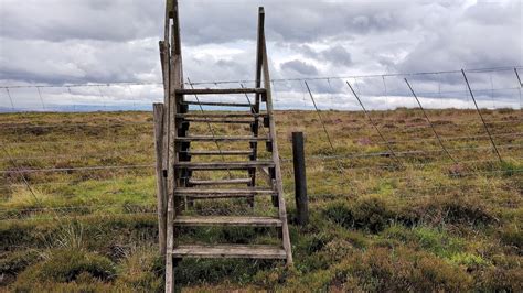 Ladder stile over deer fence © Karl Peet cc-by-sa/2.0 :: Geograph ...