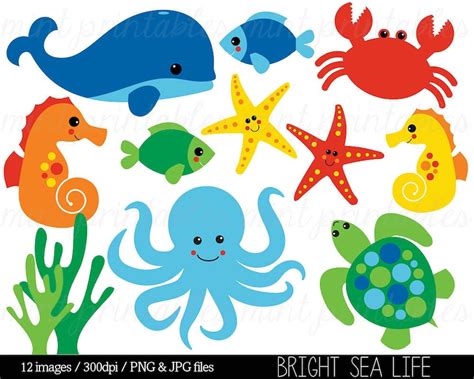 Sea Animal Clipart Under the Sea Baby Sea Creatures Clip - Etsy