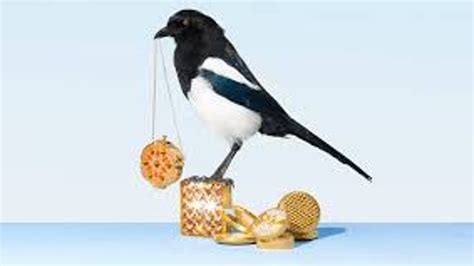 The Thieving Magpie- an Opera