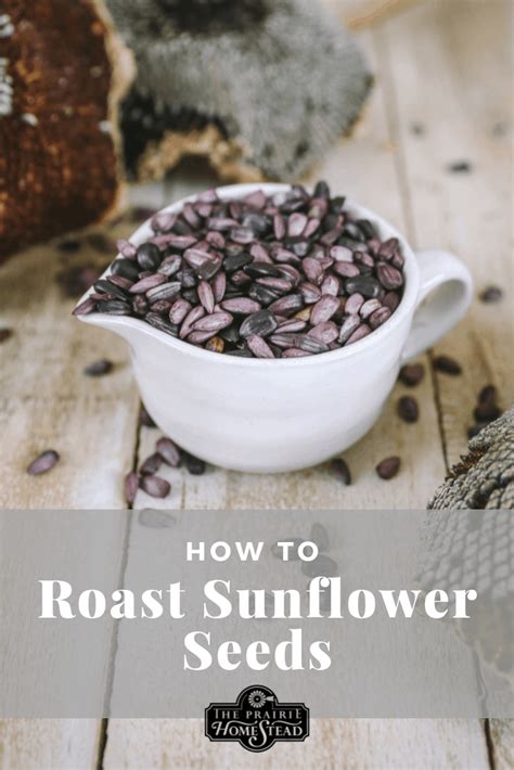 Sunflower Seeds Roasted Recipe at Kristy Smith blog