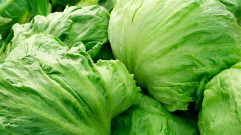 6 beneficios de la lechuga - El portal de salud de España