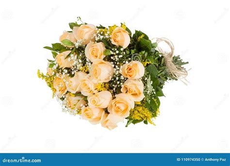 Salmon Rose Bouquet Isolated Stock Photo - Image of floral, bloom ...