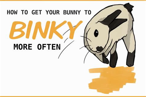 What is a Bunny Binky? (that weird twist and jump)