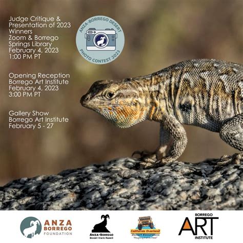 2023 Anza-Borrego Desert Photo Contest Gallery Opening, Borrego Art Institute, Borrego Springs ...