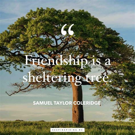 Samuel Taylor Coleridge quote 'Friendship is a sheltering tree' | Friendship, Friendship quotes ...