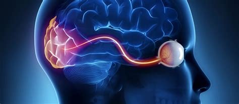 Visual Evoked Potential - Rapid Diagnostics