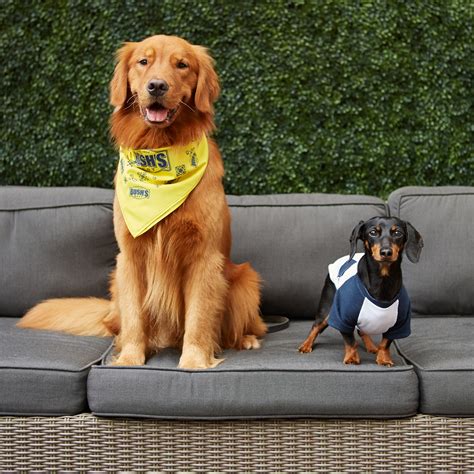 BUSH'S® Spokes-dog Duke Launches Instagram at PetCon Los Angeles