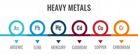 Heavy metals - Assignment Point