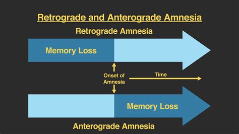 Explain How Anterograde Amnesia Differs From Retrograde Amnesia - Wyatt ...