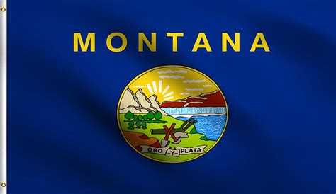 Amazon.com : DMSE Montana 41st State 1889 Flag 3X5 Ft Foot 100% ...