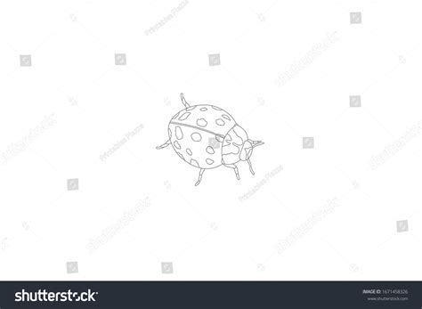 Beetle Animal Cartoon Vector Outline Illustration Stock Vector (Royalty Free) 1671458326