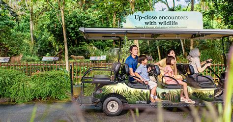 Wildlife Experiences - Singapore Zoo